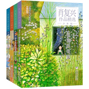 肖复兴作品精选·少年版(套装共4册)