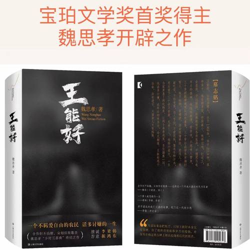 当当网 王能好（2024宝珀文学奖首奖得主魏思孝开辟之作。罗翔最欣赏之作：“在这部小 魏思孝 上海文艺出版社 正版书籍