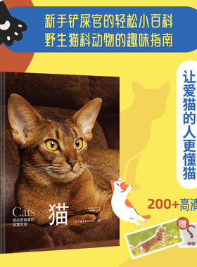 野猫无注音生活类创美工厂