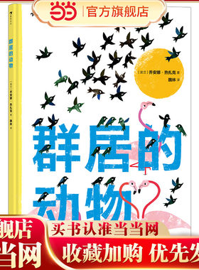 群居动物一本与众不同艺术十足