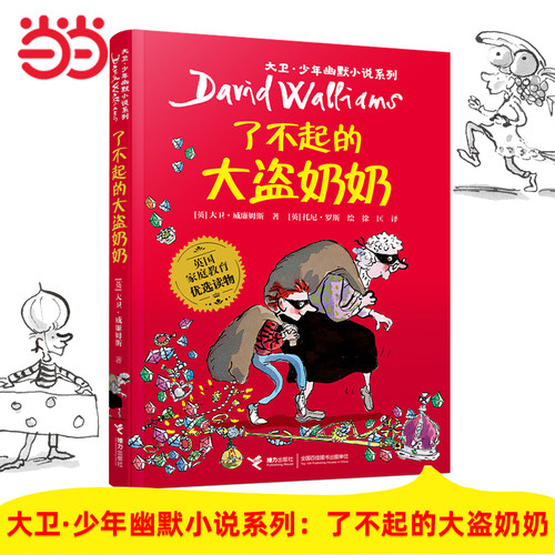 了不起的大盗奶奶全套14册