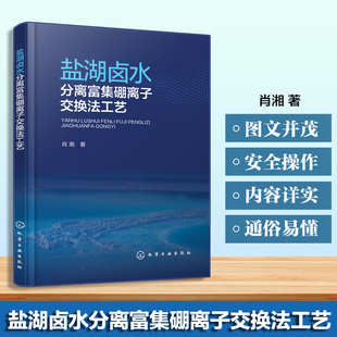 动态静态吸附实验案例 脂吸附行为与影响因素 盐湖资源开发生产书籍 硼资源分布及开发利用现状 盐湖卤水分离富集硼离子交换法工艺