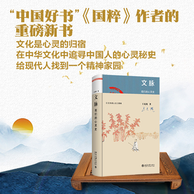 当当网文脉我们的心灵史