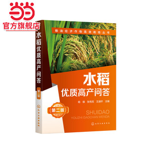 粮油经济作物高效栽培丛书 水稻优质高产问答 第二版 水稻高效栽培种植技术大全 科学种植水稻书籍 水稻病虫害诊断