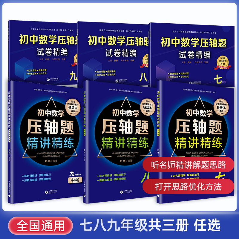 初中数学压轴题精讲精练