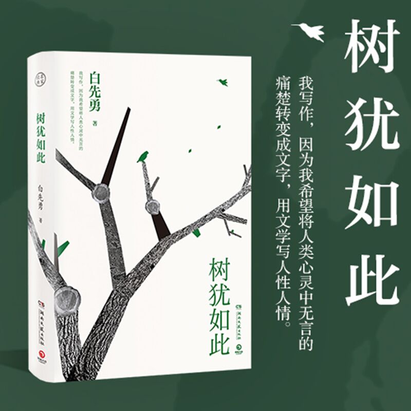 当当网 树犹如此 白先勇著正版书籍 2022新版散文随笔选集 寂寞的十七岁 中国现当代随笔以血泪与至诚写就的生命之歌 正版书籍