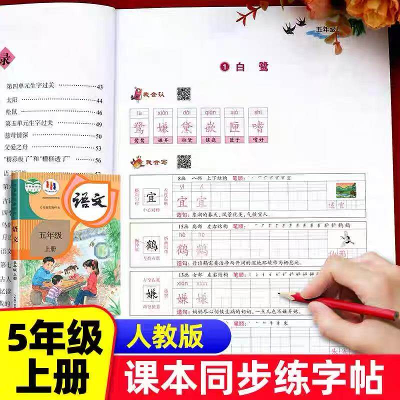 五年级上册字帖语文同步练字帖人教版每日一练 生字帖小学生专用5年级字帖练字笔画笔顺生字钢笔描红楷书练字本田字格写字本部编