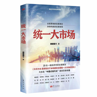 当当网 统一大市场 魏建国 等 东方出版社 正版书籍