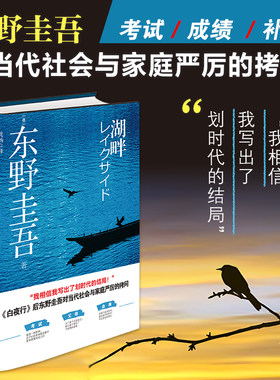 湖畔东野圭吾悬疑推理小说