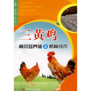 三黄鸡高效养殖与繁育技术