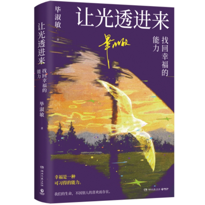 让光透进来：找回幸福的能力（网友盛赞的“破解幸福密码”讲座精华；知名心理咨询师毕淑敏经典治愈之作）