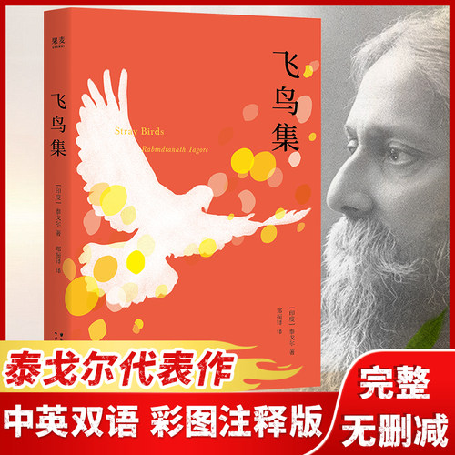 当当网正版书籍飞鸟集英双语