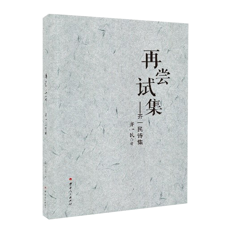 再尝试集——齐一民诗集