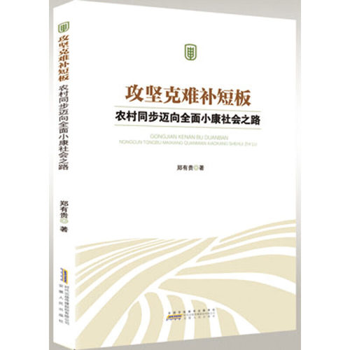 攻坚克难补短板：农村同步迈向小康社会之路