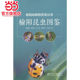 著9787521924251中国林业出版 榆阳动植物资源丛书.李颖超等 社 精 榆阳昆虫图鉴
