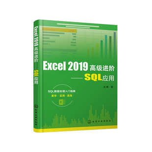 化学工业出版 书籍 社 2019高级进阶——SQL应用 行业软件及应用 Excel 正版 当当网