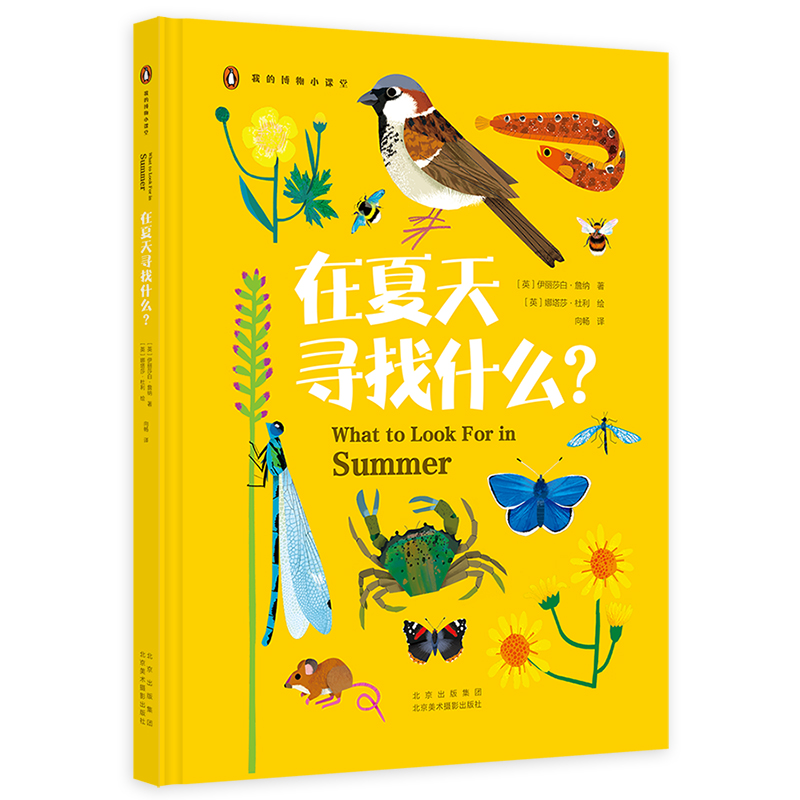 我的博物小课堂：在夏天寻找什么？