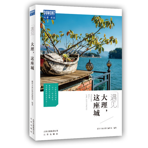 当当网 遇见大理，这座城 正版书籍