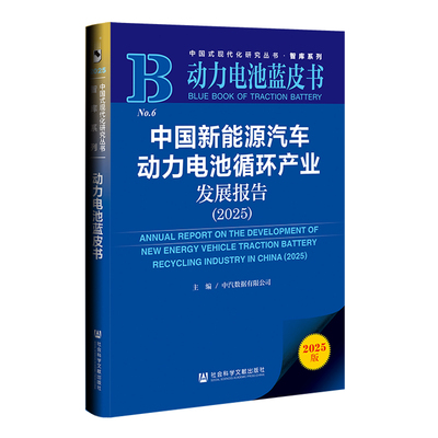 动力电池蓝皮书：中国新能源汽车动力电池循环产业发展报告（2025）