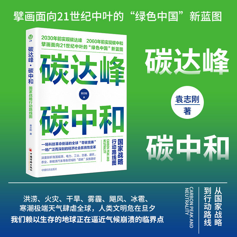 【当当网】碳达峰碳中和 国家战略行动路线图 袁志刚 投资者的未来循环经济低碳经济环境气候科技革命能源电力工业交 正版书籍 - 实物图