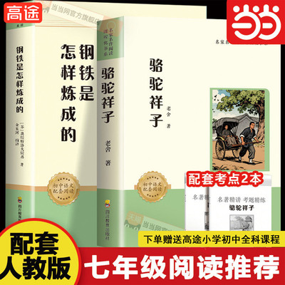 骆驼祥子钢铁是怎样炼成的完整版