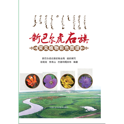 新巴尔虎右旗常见植物彩色图谱