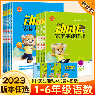 2023金牛耳动成长家庭实践作业一年级二年级下册语文数学人教北师版课后三四五六年级小学阅读理解训练书一课一练专项训练练习册
