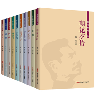 鲁迅精选文集（全十册）阿Q正传 朝花夕拾 仿徨 故事新编 华盖集 热风 鲁迅作品集杂文集  中小学课外阅读