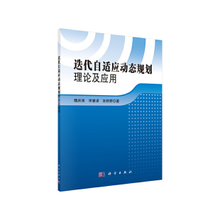 迭代自适应动态规划理论及应用
