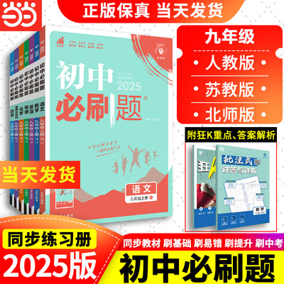 2025初中必刷题上下册九年级