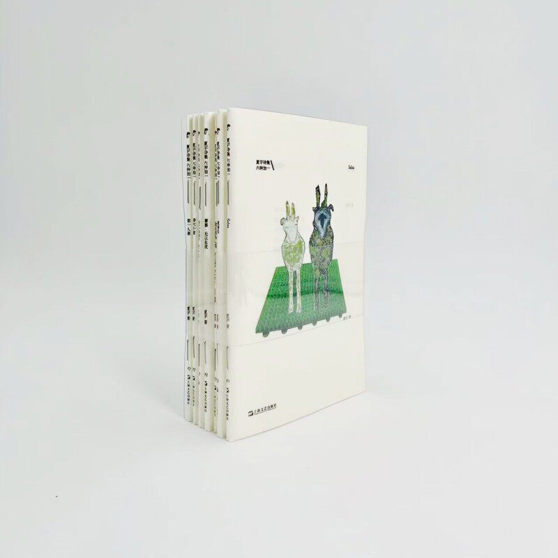 当当网 夏宇诗集六种加一(腹语术,摩擦?无以名状,salsa,粉红色噪音,诗