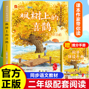 枫树上的喜鹊 二年级下册 郭风著 语文教材配套编者选编注音版小学生课外阅读书籍儿童读物小学生课外阅读书籍2年级必读经典书目