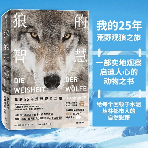 【当当网正版书籍】狼的智慧 埃莉H拉丁格 著 动物智慧 进化论 狼性 适应力 竞争力 领导力人性 狼的百科狼的行为 中信出版社图书
