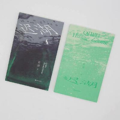 迟湖（艺文志·小说）（苏童，张定浩推荐，00后写作者、“真金·青年文学写作”总冠军小说集）