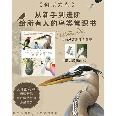 当当网 何以为鸟：西布利的鸟类世界 赠烫金印签2张大装裱画  观鸟手册鸟类常识入门鸟类辨别指南鸟类画册科普书籍 正版书籍