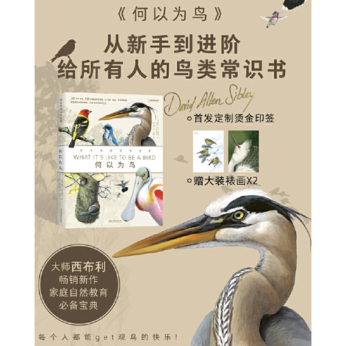 当当网 何以为鸟：西布利的鸟类世界 赠烫金印签2张大装裱画  观鸟手册鸟类常识入门鸟类辨别指南鸟类画册科普书籍 正版书籍