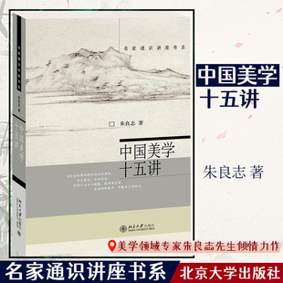 社 书籍 北大哲学系教授朱良志所著 适意 古典美学 重获灵魂 中国美学十五讲 带你读懂中国美学 正版 北京大学出版 当当网