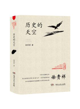 历史的天空（第六届茅盾文学奖获奖作品，入选“新中国70年70部长篇小说典藏”）