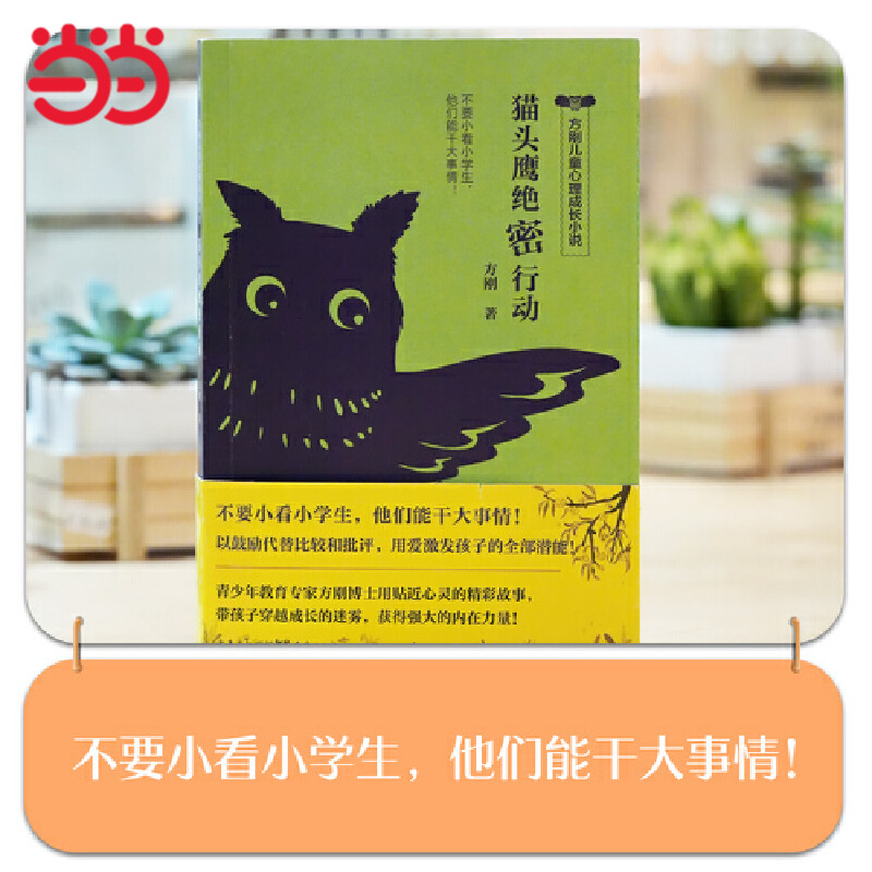 方刚儿童心理成长小说系列：猫头鹰绝密行动（不要小看小学生，他们能干大事情！ 帮孩子获得强大的内在力量。）