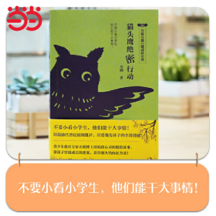 方刚儿童心理成长小说系列:猫头鹰绝密行动(不要小看小学生,他们能干大事情! 帮孩子获得强大的内在力量。)