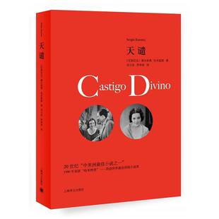 【当当网正版】天谴 塞尔希奥拉米雷斯 著 刘习良/笋季英 译 获侦探小说奖 侦探悬疑推理 反类型小说 正版图书籍 上海译文出版社