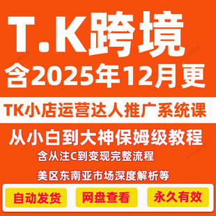 2025TK运营教程直播带货达人运营爆款 短视频跨境电商系统课程