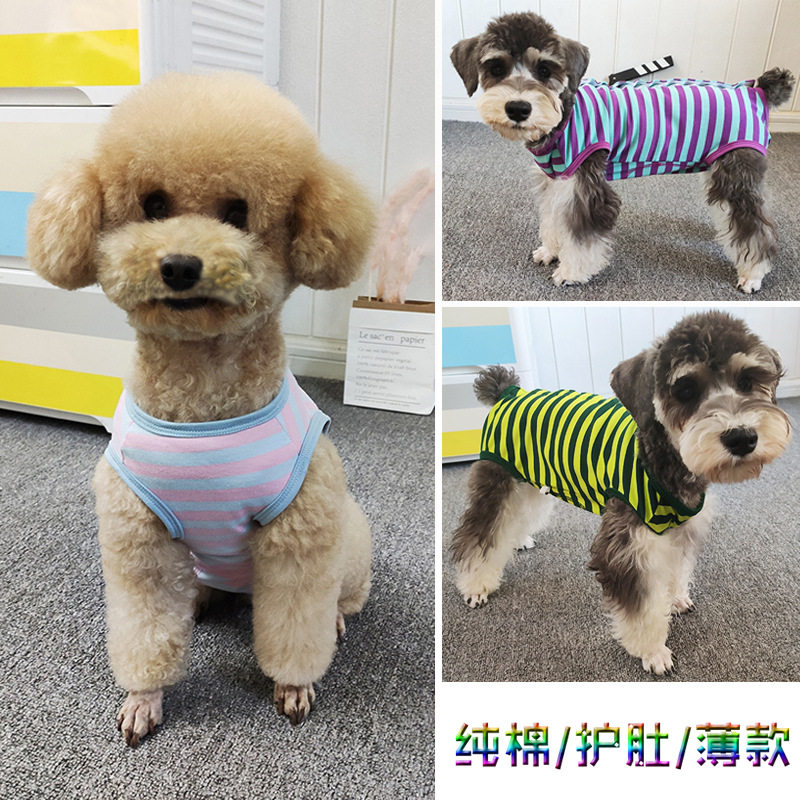 春夏薄款狗狗护肚背心包肚子纯棉莱卡条纹衫背部扣子母狗绝育断奶