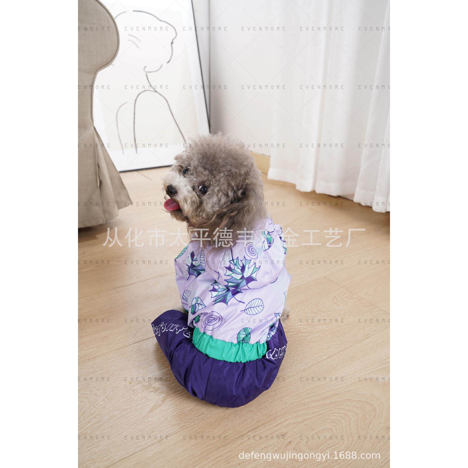 德丰小型犬狗狗雨衣 宠物防水衣服 泰迪雨衣全包四脚雨衣比熊雨衣