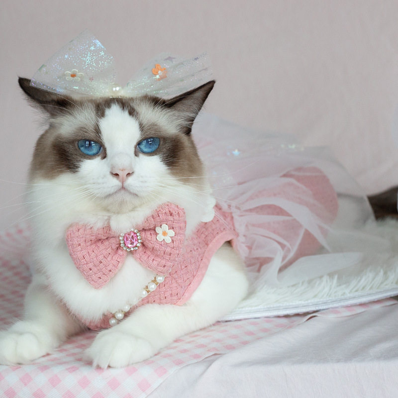 新狗衣服公主风高端小香风猫咪服饰 宠物用品项圈牵引绳套装