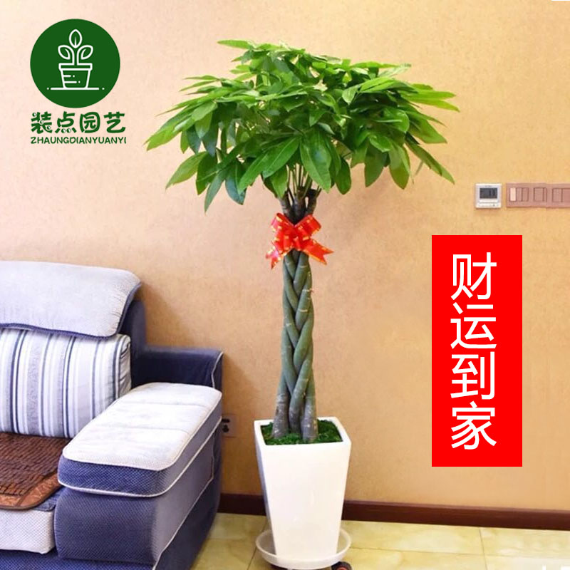 网友分享在meiguo.com的图片