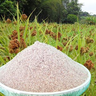 广西鸭脚粟米粉稷子粉龙爪粟子雁爪粟红小米拳头粟糕粟粑红稗面粉