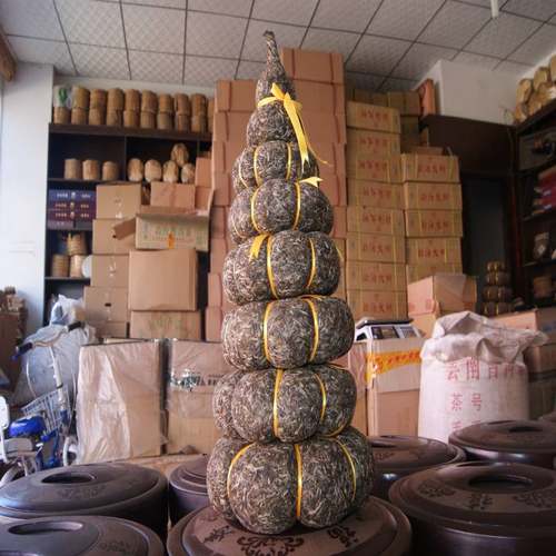 现货 早春茶冰岛古树普洱茶叶生茶古树茶珍藏品散茶金瓜 - 封面