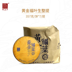 福海茶厂2023年黄金福叶生茶整提老黄片普洱生茶云南普洱茶