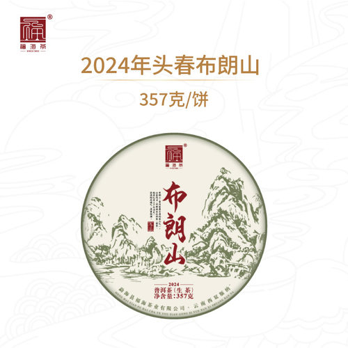 2024年头春头采，布朗山大树茶